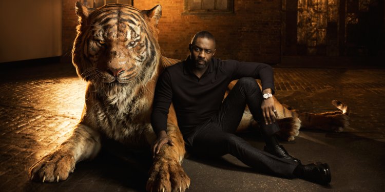 ����� ���� � �������� �Cats�